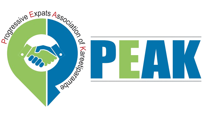 PEAK Logo